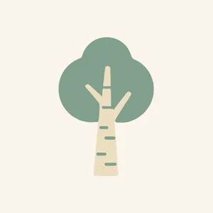 Birch