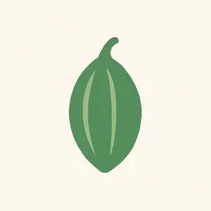 Guatemalan Cardamom