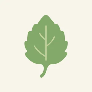 Indonesian Patchouli Leaf