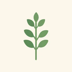 Thyme