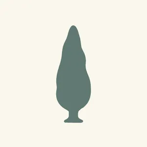 Cypress