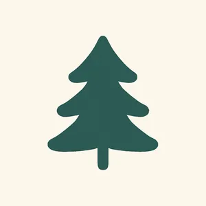 spruce