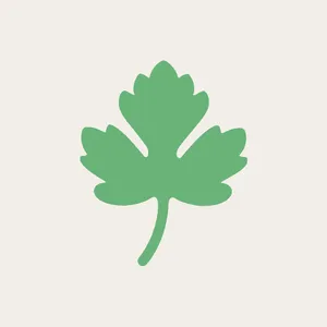 cilantro