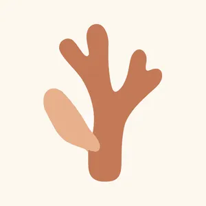 woodsy notes