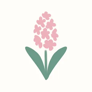 hyacinth
