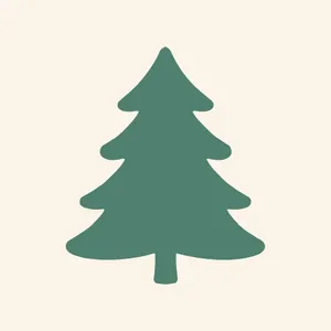 Balsam Fir